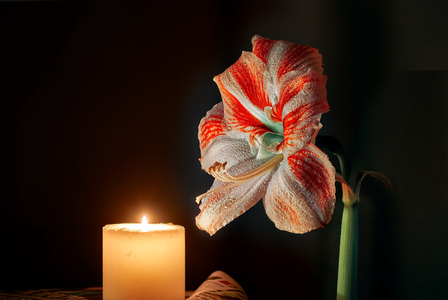 Цветок и свеча